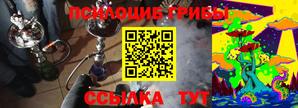 Великие Луки  Псилоцибиновые грибы Psilocybe  Вход с VPN 